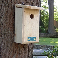 Finch/Swallow Houses